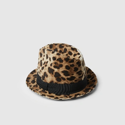 Pre-owned Dolce & Gabbana Animal Leopard-print Cotton-blend Fedora 58 Cm In Brown
