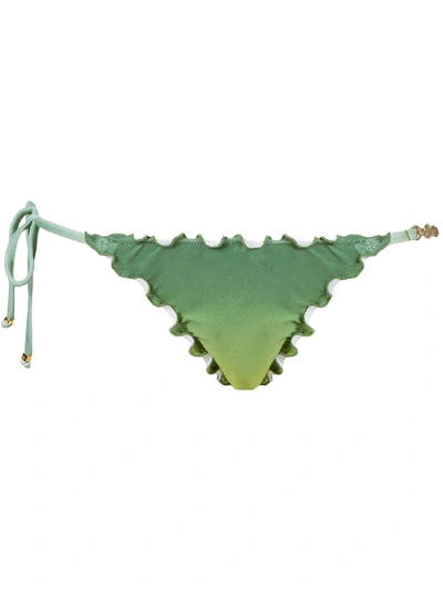 Shop Amir Slama Bikini Bottom In Green