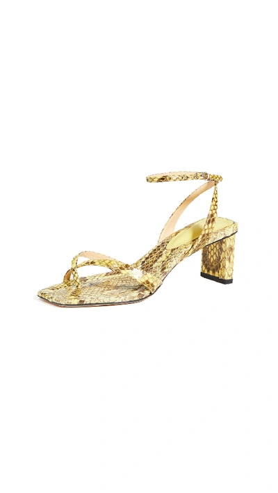 Shop Alexandre Birman Nelly Square Exotic Sandals In Mellow