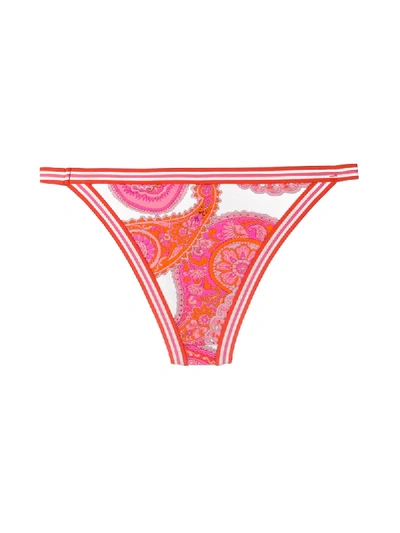 Shop Zimmermann Paisley-print Bikini Briefs In Orange