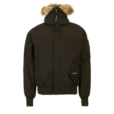 Shop Canada Goose Chilliwack Bomber Jacket Heritage In Black