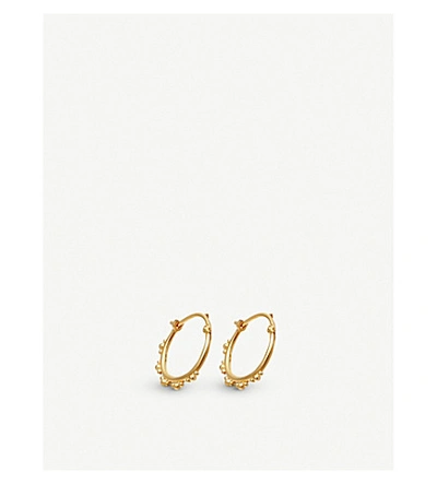 Shop Astley Clarke Womens Floris 18ct Yellow-gold Vermeil Hoop Earrings