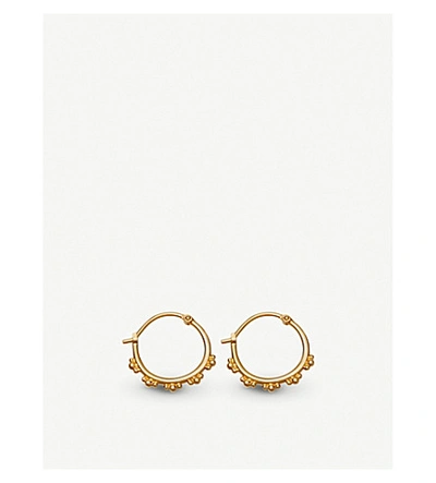 Shop Astley Clarke Womens Floris 18ct Yellow-gold Vermeil Hoop Earrings