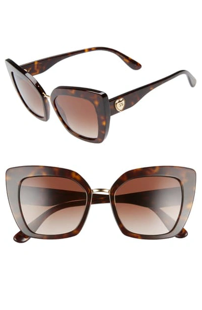 Shop Dolce & Gabbana 52mm Cat Eye Sunglasses In Havana