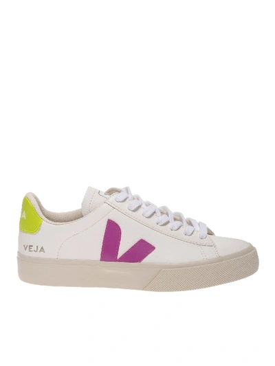 Shop Veja Campo Sneakers In Ivory And Fuchsia In White