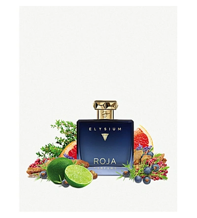 Roja Parfums Elysium Pour Homme Parfum Cologne 100ml