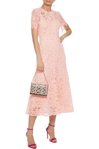 Shop Lela Rose Corded Lace Midi Dress In Blush