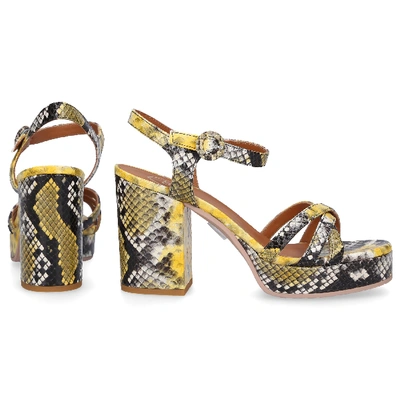 Shop Roberto Festa Sandals Briet In Yellow