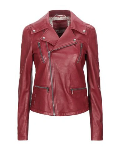 Shop Gucci Biker Jacket In Brick Red