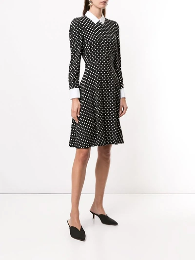 Shop Paule Ka Polka Dot Pointed Collar Shirt Dress In Black