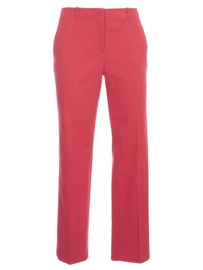 Shop Emporio Armani Short Skinny Pants W/slit In Rosso