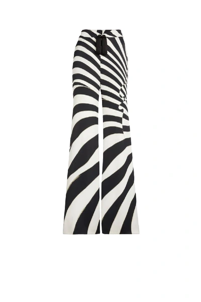 Shop Roberto Cavalli Zebra Avantgarde Print Trousers In D1888