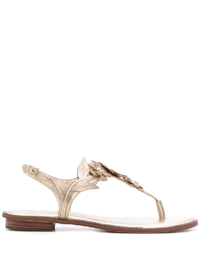 Shop Michael Michael Kors Flora Thong Sandals In Gold