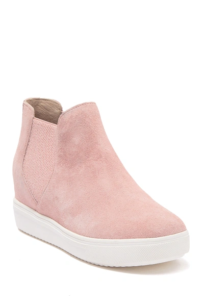 Shop Steve Madden Sultan Chelsea Wedge Sneaker In Blush Sued