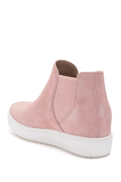 Shop Steve Madden Sultan Chelsea Wedge Sneaker In Blush Sued