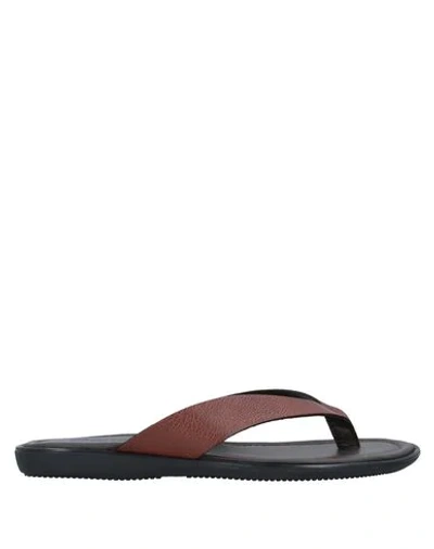 Shop Doucal's Toe Strap Sandals In Brown