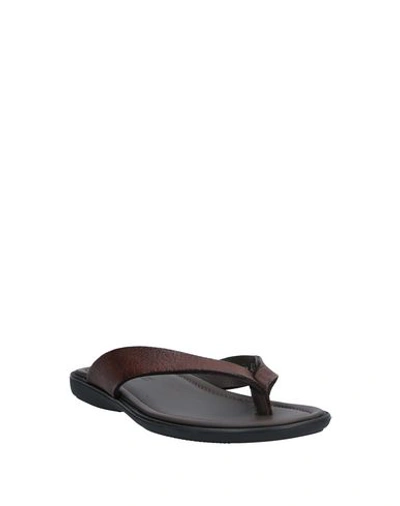 Shop Doucal's Toe Strap Sandals In Dark Brown
