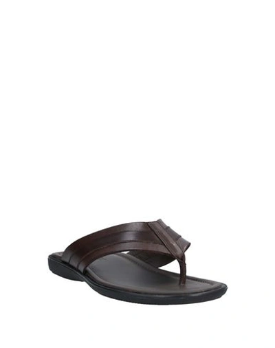 Shop Doucal's Flip Flops In Dark Brown