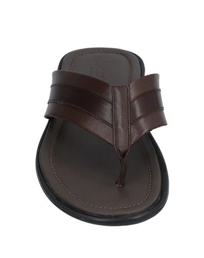 Shop Doucal's Flip Flops In Dark Brown