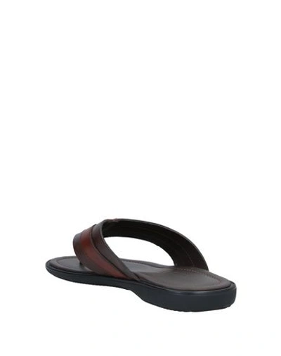 Shop Doucal's Flip Flops In Cocoa