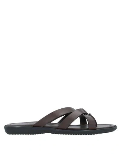 Shop Doucal's Toe Strap Sandals In Cocoa