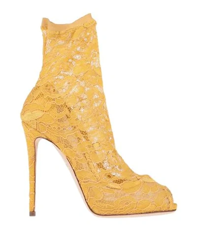 Shop Dolce & Gabbana Ankle Boot In Ocher