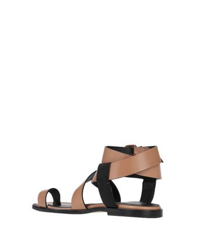 Shop Joseph Toe Strap Sandals In Brown