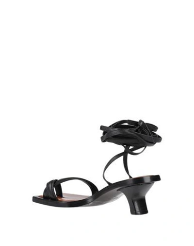 Erika Cavallini Toe Strap Sandals In Black