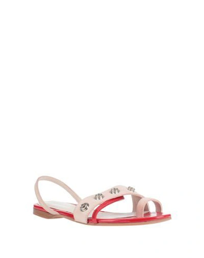 Shop Cedric Charlier Woman Thong Sandal Red Size 7 Soft Leather