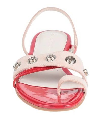 Cedric Charlier Toe Strap Sandals In Red