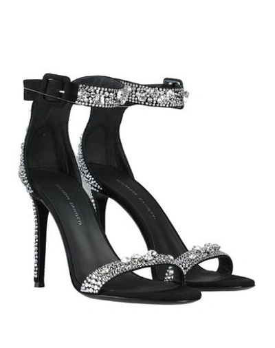 Shop Giuseppe Zanotti Sandals In Black