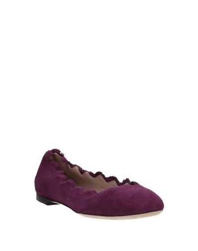 Shop Chloé Ballet Flats In Purple