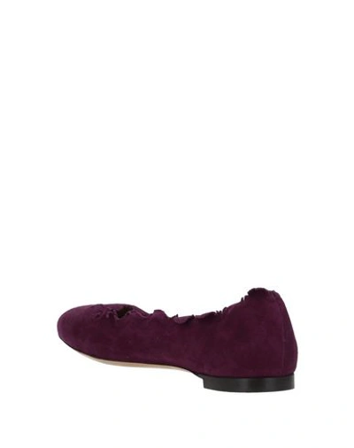 Shop Chloé Ballet Flats In Purple