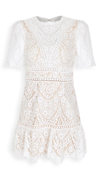 Shop Saylor Darian Lace Mini Dress In White