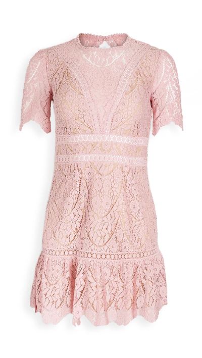 Shop Saylor Darian Lace Mini Dress In Sea Pink