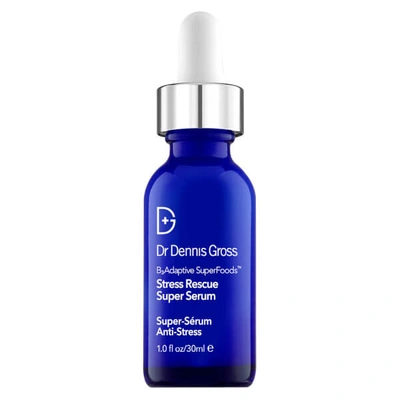 Shop Dr Dennis Gross Skincare Skincare B3adaptive Superfoods Stress Rescue Super Serum 30ml