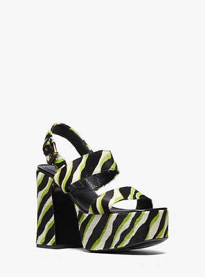 Shop Michael Kors Blaire Zebra Calf Hair Platform Sandal In Green