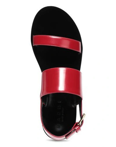 Shop Marni Woman Sandals Red Size 9 Soft Leather