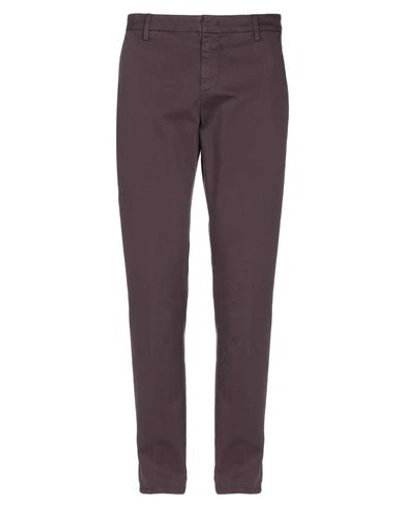 Shop Dondup Man Pants Purple Size 34 Cotton, Elastane