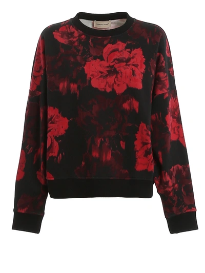 Shop Alexandre Vauthier Floral Print Cotton Sweatshirt In Dark Red