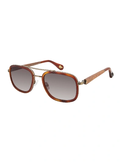 Shop Robert Graham Salvador Vintage Sunglasses In Brown