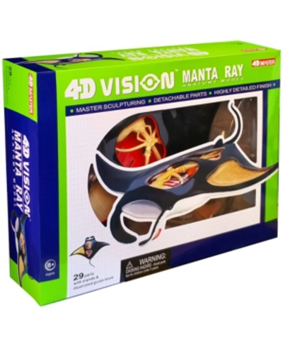 Shop 4d Master 4d Vision Manta Ray Anatomy Model