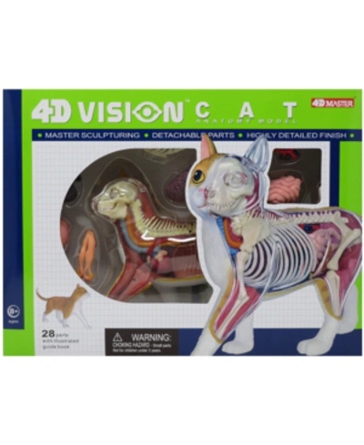 Shop 4d Master 4d Vision Orange Cat Anatomy Model