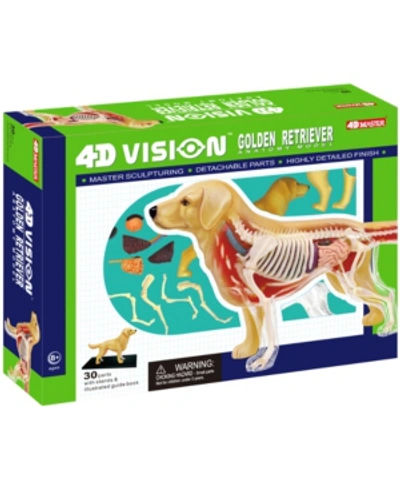 Shop 4d Master 4d Vision Golden Retreiver Anatomy Model
