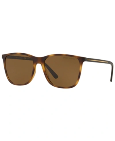 Shop Polo Ralph Lauren Sunglasses, Ph4143 57 In Matte Dark Havana / Polar Brown