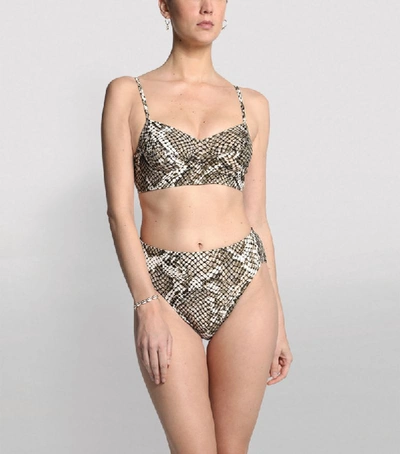 Shop Norma Kamali Python Print Balconette Bikini Top