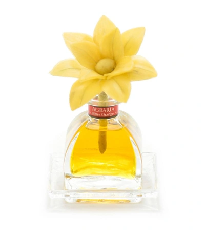 Shop Agraria Bitter Orange Petiteessence Diffuser (50ml)