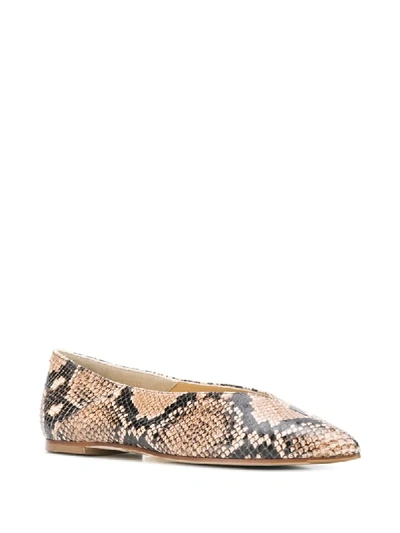 Shop Aeyde Snake Print Ballerina Shoes In Brown