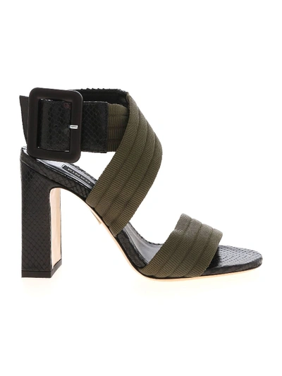 Shop Pinko Marty Sandals In Black And Green
