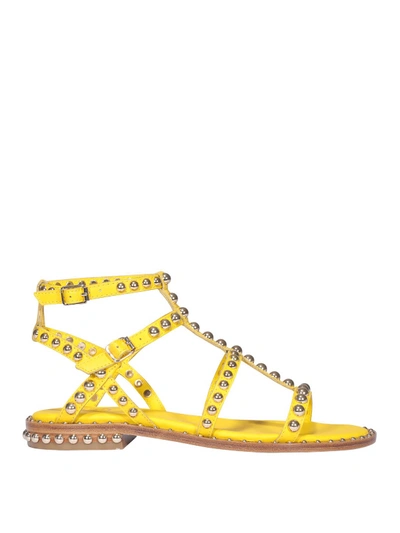 Shop Ash Precious Flat Sandals In Yellow